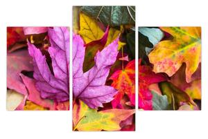 Kép - őszi levelek (90x60 cm)