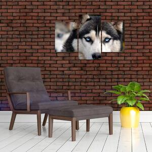 Husky kutya kép (90x60 cm)