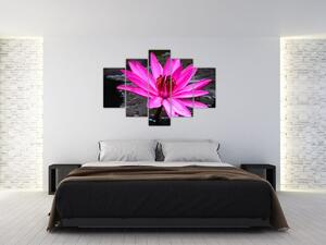 Kép - rózsaszín virág (150x105 cm)