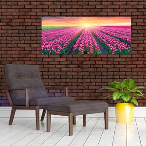 Tulipán mező és a nap képe (120x50 cm)