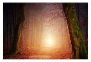 Őszi erdő képe a ködben (90x60 cm)