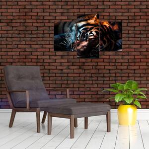 Egy fekvő tigris képe (90x60 cm)