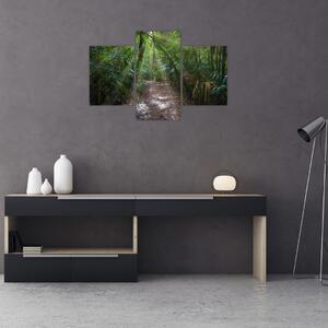 Kép - Napsugarak a dzsungelben (90x60 cm)