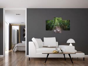 Kép - Napsugarak a dzsungelben (90x60 cm)