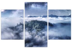 Egy erdő képe a ködben (90x60 cm)