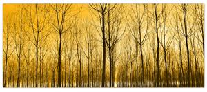 Egy erdő naplementekor képe (120x50 cm)