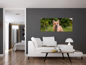 Egy róka képe (120x50 cm)