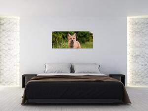 Egy róka képe (120x50 cm)