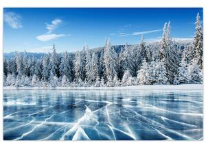 Kép a befagyott tóról és a havas fákról (90x60 cm)