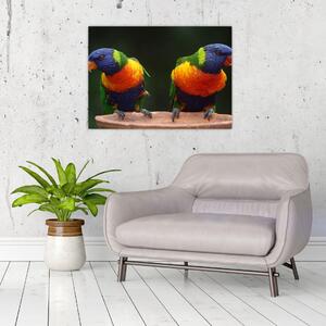 Papagájok képe (70x50 cm)