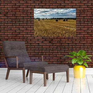 Betakarított gabona mező képe (90x60 cm)