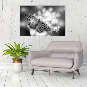 Kép - Részlet egy virágot beporzó pillangóról (90x60 cm)