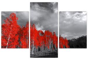 Kép - fák őszi színben (90x60 cm)