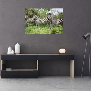 Zebrák képe (90x60 cm)
