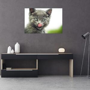 Nyaló cica képe (90x60 cm)