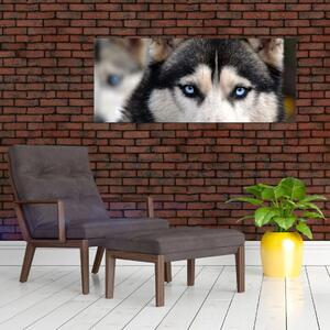 Husky kutya kép (120x50 cm)