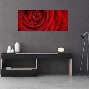 Kép - részlet a rózsáról (120x50 cm)