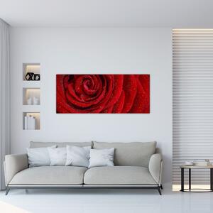 Kép - részlet a rózsáról (120x50 cm)