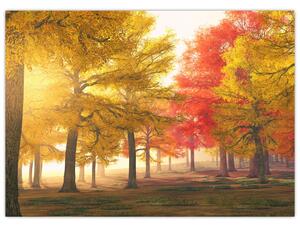 Őszi fák képe (70x50 cm)