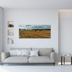 Betakarított gabona mező képe (120x50 cm)