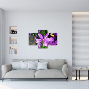 Kép - réti virágok (90x60 cm)