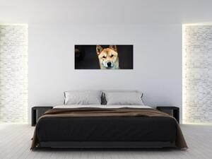 Kutya képe (120x50 cm)