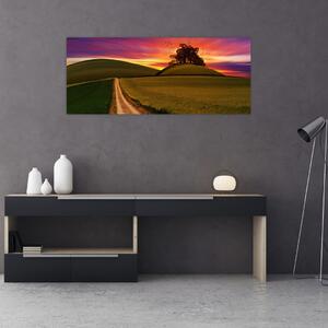 Mezei naplemente képe (120x50 cm)