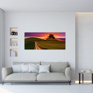 Mező és a színes ég képe (120x50 cm)