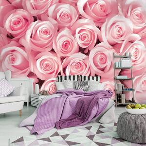 Fotótapéta - Rózsaszín rózsák (152,5x104 cm)