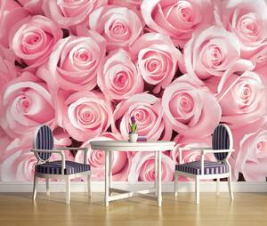 Fotótapéta - Rózsaszín rózsák (152,5x104 cm)