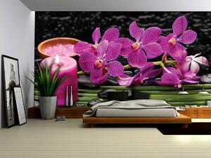 Fotótapéta - Rózsaszín orchideák (152,5x104 cm)