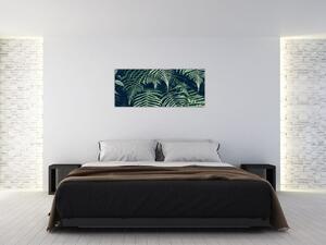A páfrány levelek képe (120x50 cm)