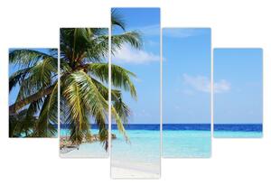 Pálmafák a strandon képe (150x105 cm)