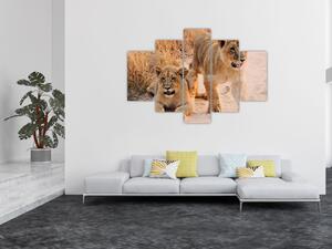 Egy oroszlán képe (150x105 cm)