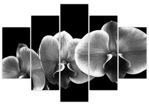 Egy orchidea virág képe (150x105 cm)