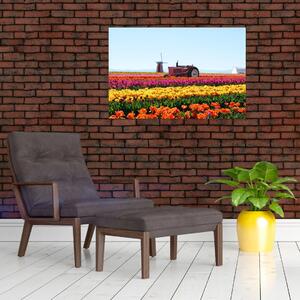 Tulipánfarm képe (90x60 cm)