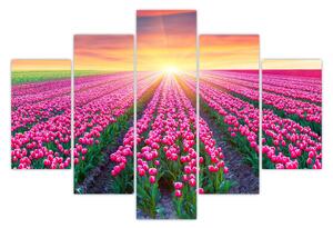 Tulipán mező és a nap képe (150x105 cm)