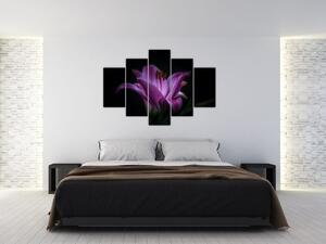 A liliom képe (150x105 cm)