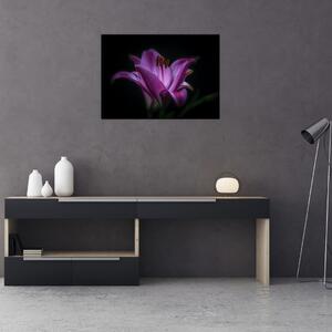 A liliom képe (70x50 cm)