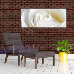 Egy fehér rózsa képe (120x50 cm)