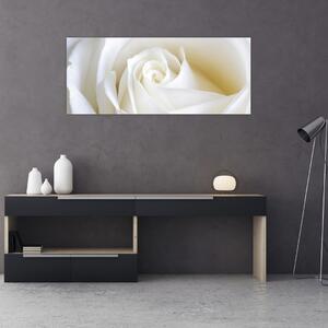 Egy fehér rózsa képe (120x50 cm)
