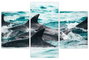Kép - Delfinek az óceánban (90x60 cm)