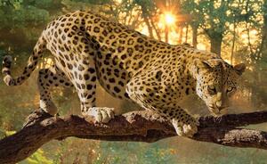 Fotótapéta - Jaguar Forest Woods (152,5x104 cm)