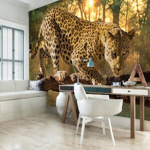 Fotótapéta - Jaguar Forest Woods (152,5x104 cm)