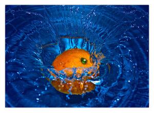 Kép - narancs a vízben (70x50 cm)