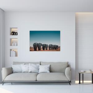 Kép - Elefántok indulása (90x60 cm)