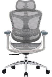 Fotel biurowy Sihoo DORO C300L Mesh White