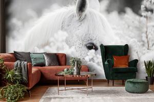 Fotótapéta - Fehér ló a hóban (152,5x104 cm)