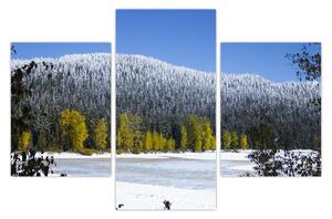 Kép - havas hegyek télen (90x60 cm)
