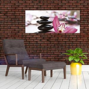 Masszázs kövek és orchideák képe (120x50 cm)